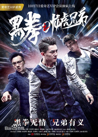 黑拳之龙虎兄弟 movie poster