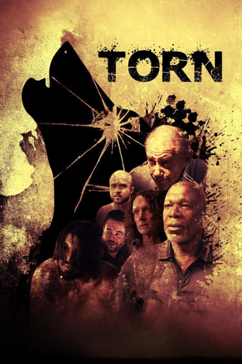 Torn movie poster