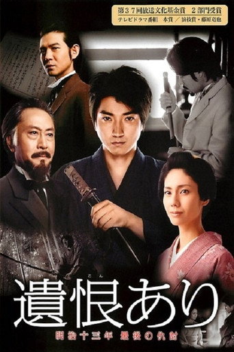 The Last Revenge movie poster