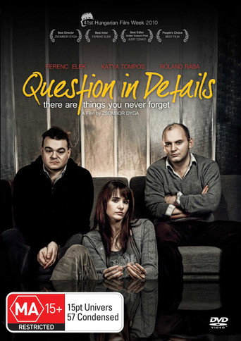 Question in Details movie poster
