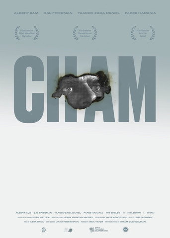 Hot movie poster