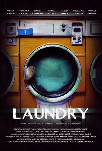 Laundry movie poster