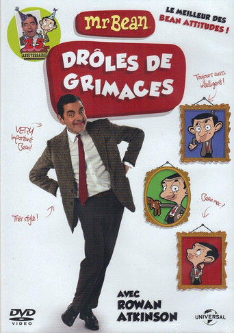Mr Bean Funny Faces movie poster