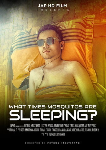 What Times Mosquitos Are Sleeping? movie poster