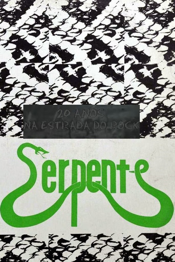 20 Anos na Estrada do Rock movie poster