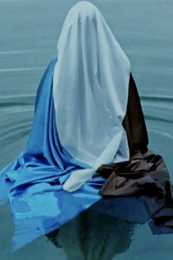 Vlag movie poster
