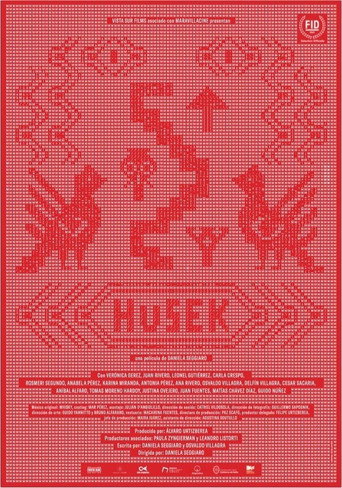 Husek movie poster