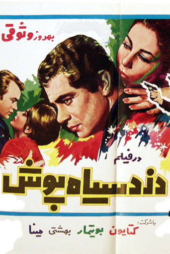 Dozd-e Siyahpoush movie poster