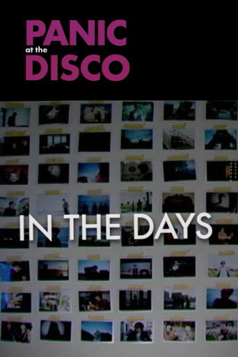 Panic! at the Disco: In the Days movie poster