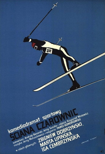 The Wall of Witches movie poster