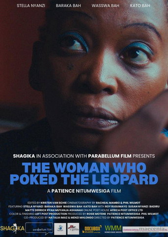 The Woman Who Poked the Leopard movie poster