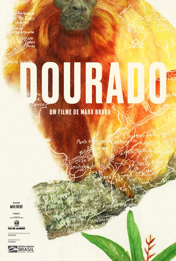 Dourado movie poster