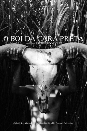 O Boi da Cara Preta movie poster