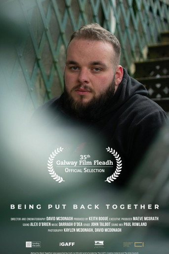 Being Put Back Together movie poster