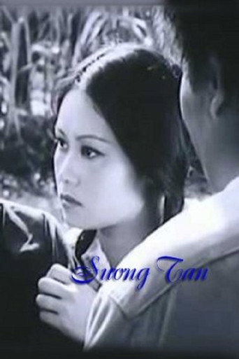 Vanishing Mist movie poster