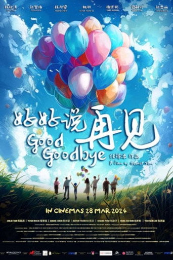 Good Goodbye 好好说再见 movie poster