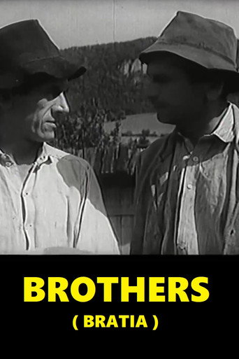 Brothers movie poster