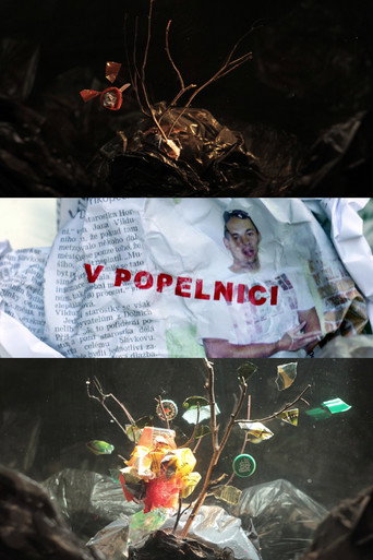 In a Dumpster movie poster
