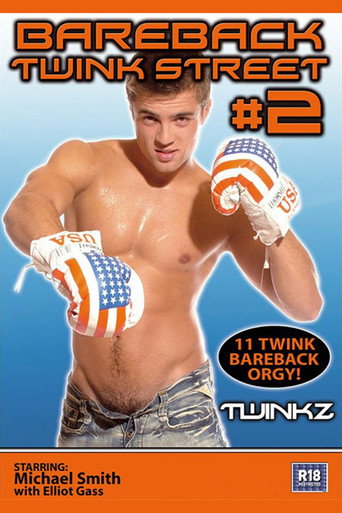 Bareback Twink Street 2 movie poster