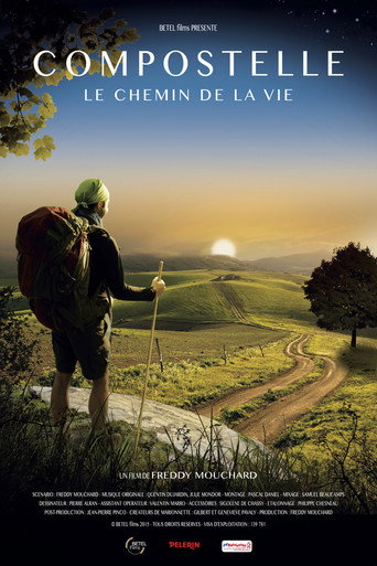 Compostelle, le chemin de la vie movie poster