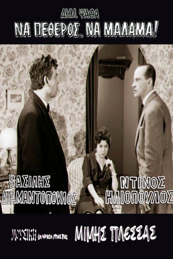 Father-in-Law With a Heart of Gold movie poster