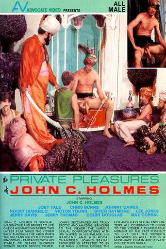 The Private Pleasures of John C. Holmes movie poster