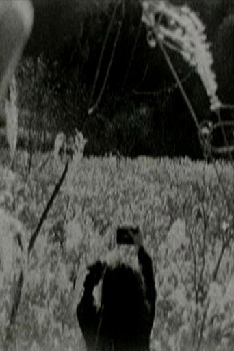 Chichibu Rest movie poster