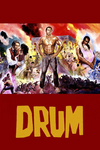 Drum movie poster