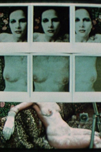 Transformation by Holding Time (Artist with Muse) movie poster
