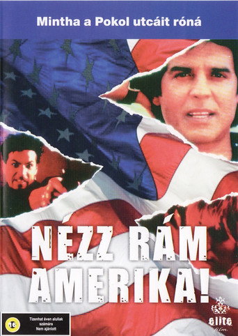 Look at Me, America movie poster