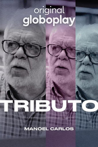 Tributo: Manoel Carlos movie poster
