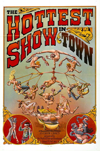 The Hottest Show in Town movie poster