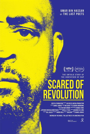 Scared of Revolution movie poster