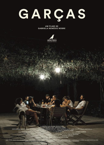 Egrets movie poster