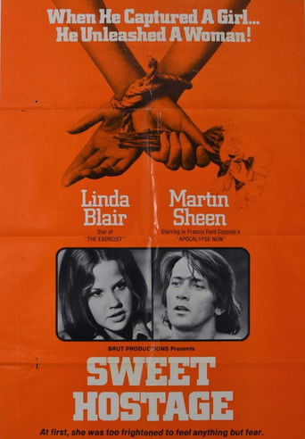 Sweet Hostage movie poster
