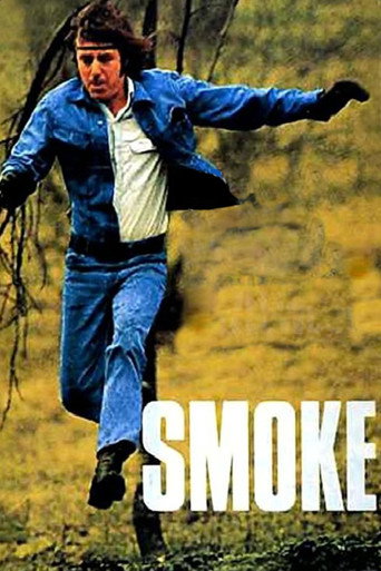 Smoke movie poster