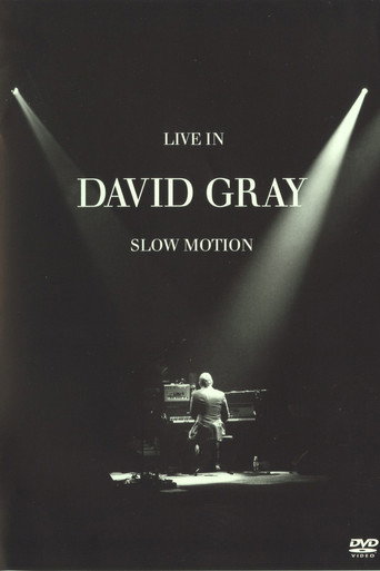 David Gray: LIVE in Slow Motion movie poster
