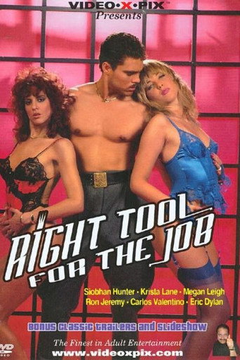 Right Tool for the Job movie poster