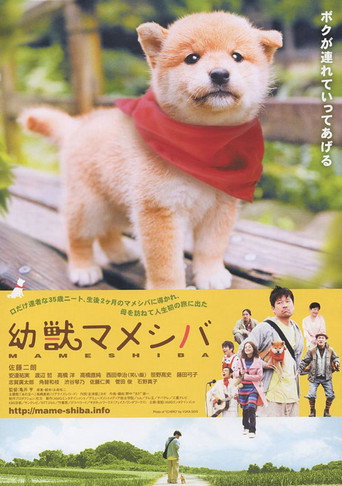 Mameshiba Cubbish Puppy movie poster