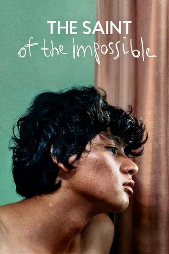 The Saint of the Impossible movie poster