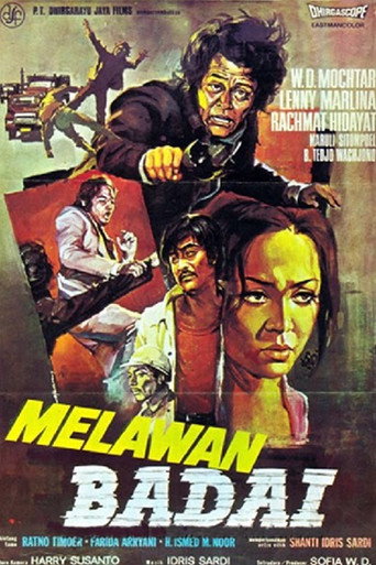 Fighting the Storm movie poster