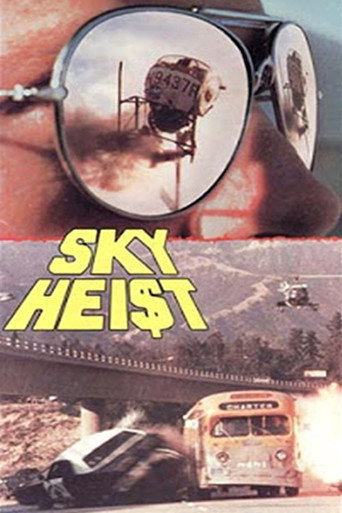Sky Hei$t movie poster