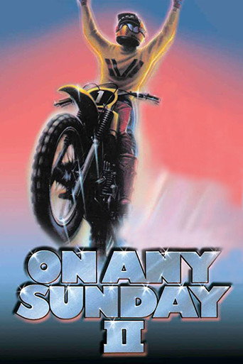 On Any Sunday II movie poster