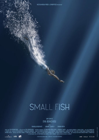 Small Fish movie poster