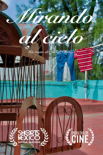 Mirando al Cielo movie poster