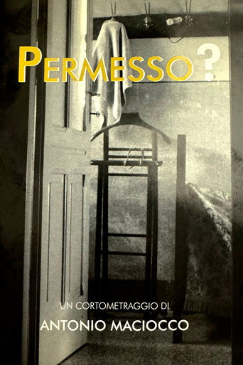 Permesso? movie poster
