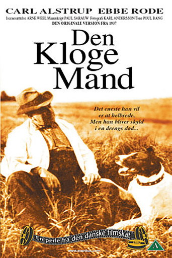 Den kloge mand movie poster