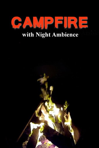 Campfire with Night Ambience movie poster