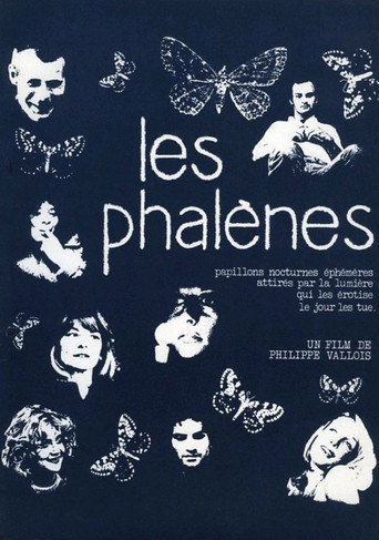 Les phalènes movie poster