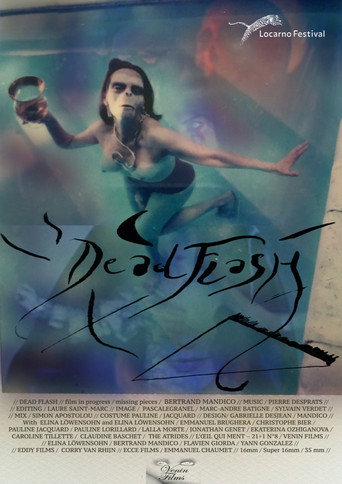 Dead Flash movie poster